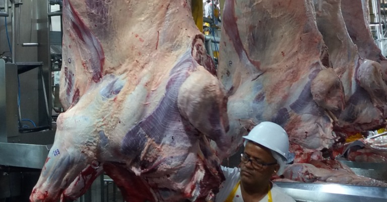 Exportação de carne bovina bate recorde histórico em 2020, com US$ 8,5 bilhões 
